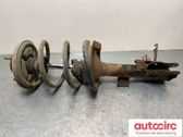 Front shock absorber with coil spring