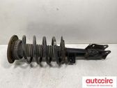 Front shock absorber with coil spring