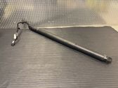 Tailgate/trunk strut/damper