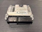Engine control unit/module ECU