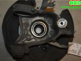 Rear wheel hub spindle/knuckle