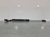 Tailgate/trunk strut/damper