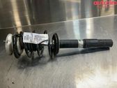 Front shock absorber with coil spring