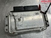 Engine control unit/module ECU
