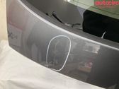 Tailgate/trunk/boot lid