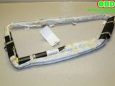 Roof airbag