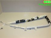 Roof airbag