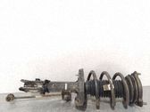 Amortiguador delantero con muelle espiral