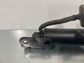 Tailgate/trunk strut/damper