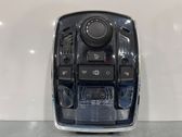 Panel lighting control switch