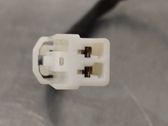 Tailgate opening switch
