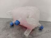 Fuel expansion tank