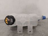 Fuel expansion tank