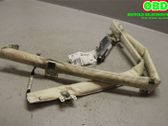 Roof airbag