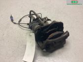 Bremssattel hinten