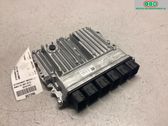 Engine control unit/module ECU