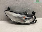 Front fog light