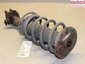 Front shock absorber with coil spring