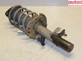 Front shock absorber with coil spring