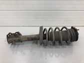 Front shock absorber with coil spring