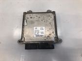 Engine control unit/module ECU