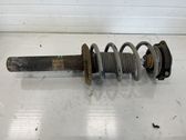 Front shock absorber with coil spring