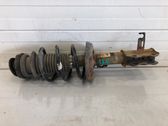 Front shock absorber with coil spring