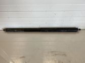 Tailgate/trunk strut/damper