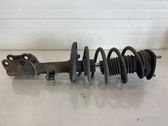 Front shock absorber with coil spring