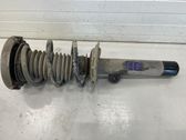 Front shock absorber with coil spring