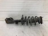 Front shock absorber with coil spring