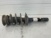 Front shock absorber with coil spring