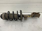 Front shock absorber with coil spring