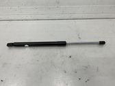 Tailgate/trunk strut/damper