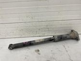 Rear shock absorber/damper