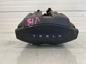 Takajarrusatula