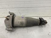 Rear air suspension bag/shock absorber