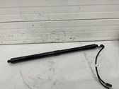 Tailgate/trunk strut/damper