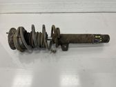 Front shock absorber with coil spring