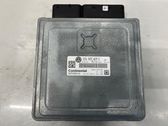 Engine control unit/module ECU