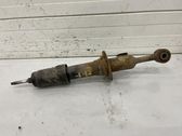 Front shock absorber with coil spring
