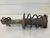 Amortiguador delantero con muelle espiral