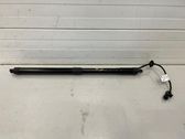 Tailgate/trunk strut/damper
