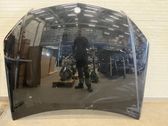 Motorhaube