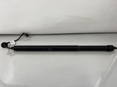 Tailgate/trunk strut/damper