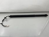 Tailgate/trunk strut/damper