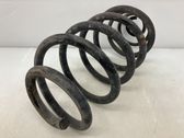 Rear coil spring rubber mount