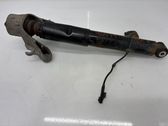Rear shock absorber/damper