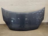 Motorhaube