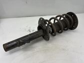 Front shock absorber with coil spring